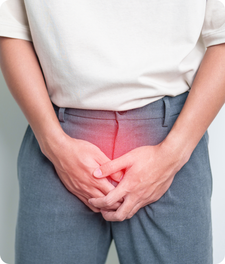 전립선염원 세균감염의 종류