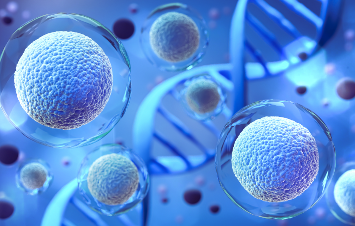 전립선비대증 원인은 호르몬 변화
