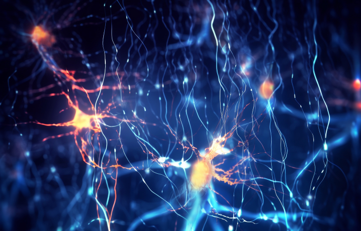 중추신경계 및 말초신경계 조절 기능 소실